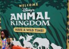 Disney’s Animal Kingdom at Orlando Florida-2017