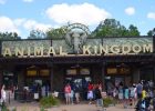 Disney’s Safari  Park at Animal Kingdom Orlando Florida-2017