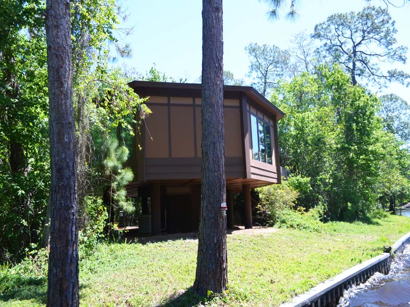 Disneys tree house resorts 