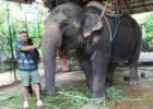 Safari World Marine Park, & Thappraya Safari parks of Bangkok Thailand-2024