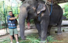 Safari World Marine Park, & Thappraya Safari parks of Bangkok Thailand-2024