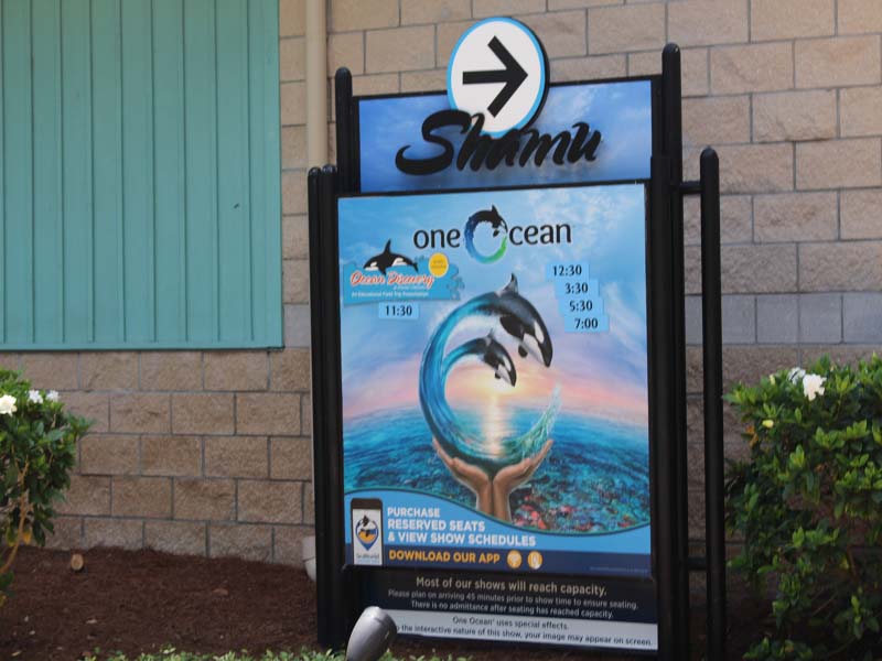 death at seaworld orlando