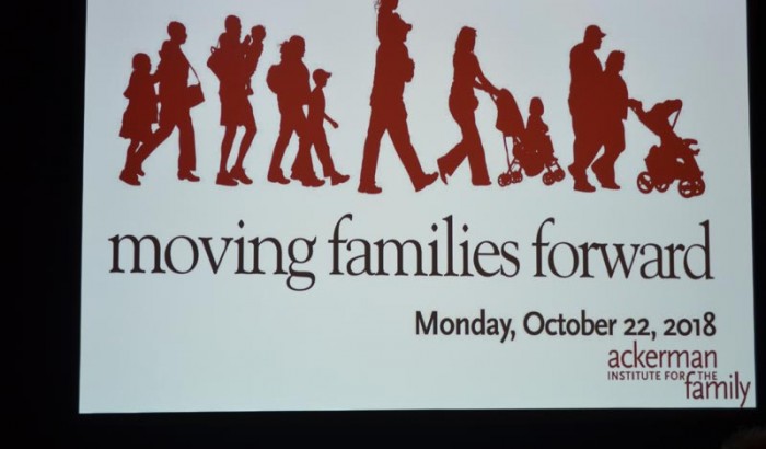 12th Annual Moving Families Forward Gala to benefit  Ackerman Institute for the Family-2018